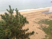 Sakamoto119̒Ócӂ邳ƊC݂̓eʐ^4