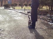 ܂߂܂܂̃Xg\jA̓eʐ^3