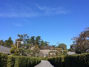 mickey̌ԉ~i݁j̓eʐ^1