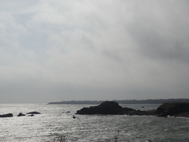 �[���z��_�[���z��