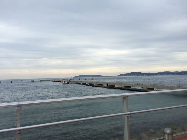 CW]_݂ȂƃIAVXg̉whĂ