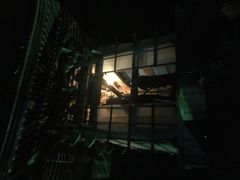 ���V�R�@�P�����̎ʐ^1