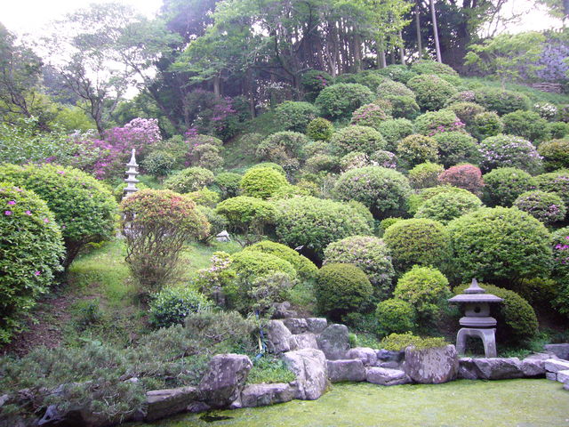 �����񂳂�̏@�����̃c�c�W�̓��e�ʐ^1