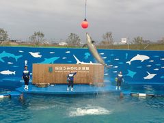 }[~[̐䂤݂̓mقւ̓eʐ^1