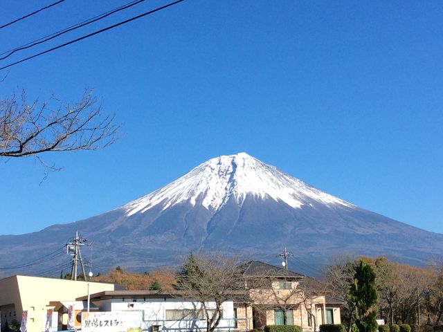 �x�m�R���V�C���ǂ���΂��̂悤�ɔq�����鎖���o���܂��B_�܂����̖q��