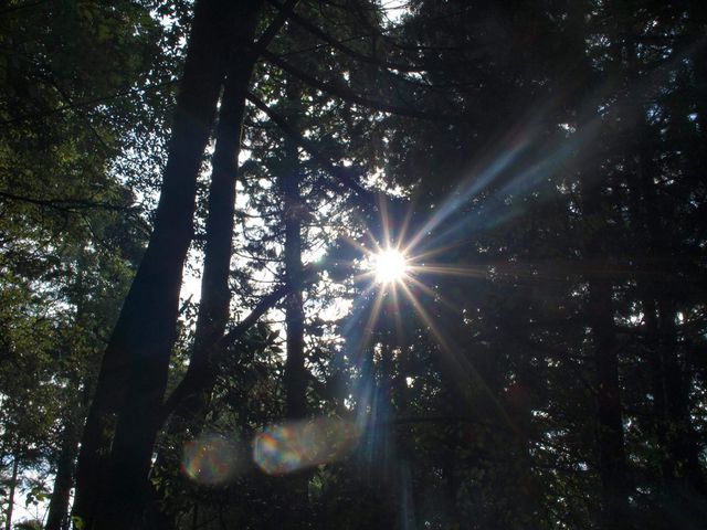 真名井神社の境内入り口からみる朝日。_真名井神社