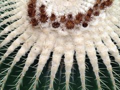 ݂̔Moiijւ̓eʐ^1