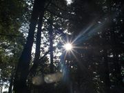 halnoko̐^_Ђ̓eʐ^1