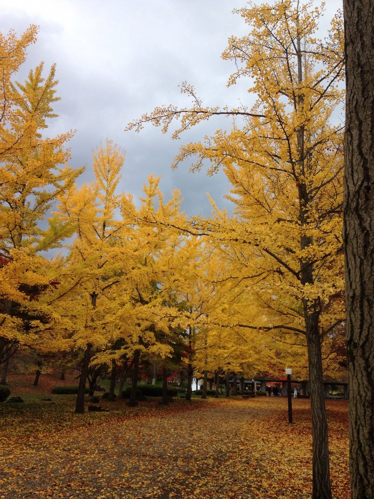 山形県総合運動公園