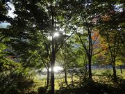 P񂳂̔쉷I[gLv̓eʐ^4