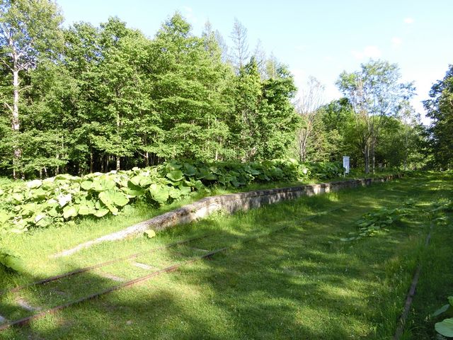 �y���w�ՁB_�Ђ�����Ꭹ�R�K�C�h�Z���^�[