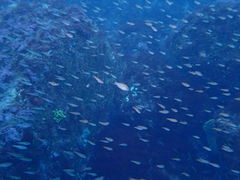 yuu8024ỹ_CrOVbvMIUւ̓eʐ^1