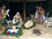 �݁[������̎R���T�r�G���L�O�����̓��e�ʐ^1