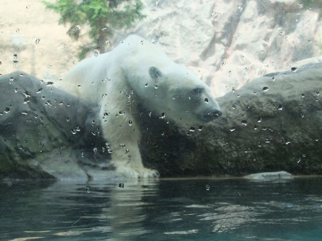 ���R������_���R������