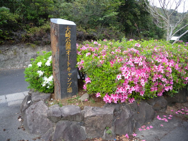 tomsan̑I[gLv̓eʐ^1