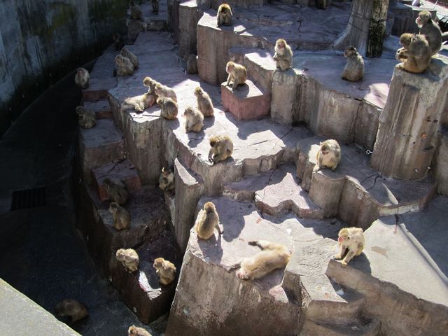 �~�R������_�~�R������