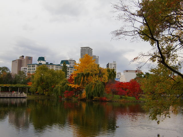 ��������_��������