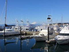 jR񂳂̐q}[iւ̓eʐ^1