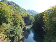 lilieeeng̒Rk̓eʐ^1