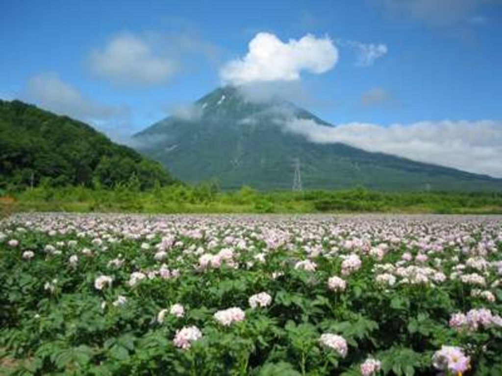 北海道の自然歩道・自然研究路ランキングTOP10（2ページ目