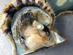 hide̐^H[@^̗ւ̓eʐ^2