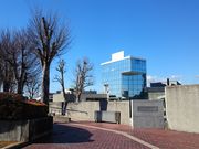 silele̓Ȗ،pق̓eʐ^1