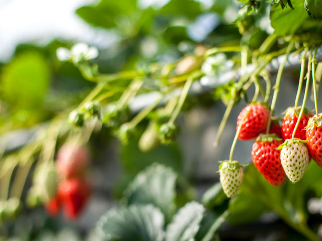 �ߑO���̂�������肪�����߁I_���ǂ₢������艀