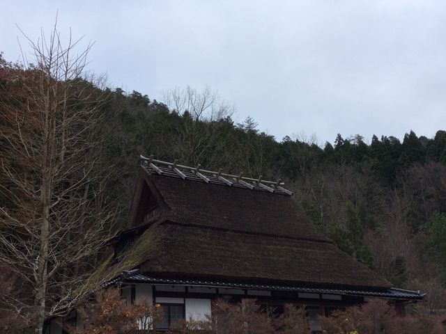 hola����̔��R����Ԃ����p�ق̓��e�ʐ^1