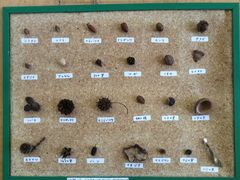 neko܂̏쑺ӂꂠقւ̓eʐ^2