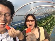 Ղ񂳂̂ǂ₢艀̓eʐ^2