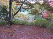 TATK����̒��w���̓��e�ʐ^4