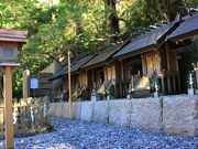 p7777777̓V͑燍VЂ̓eʐ^3