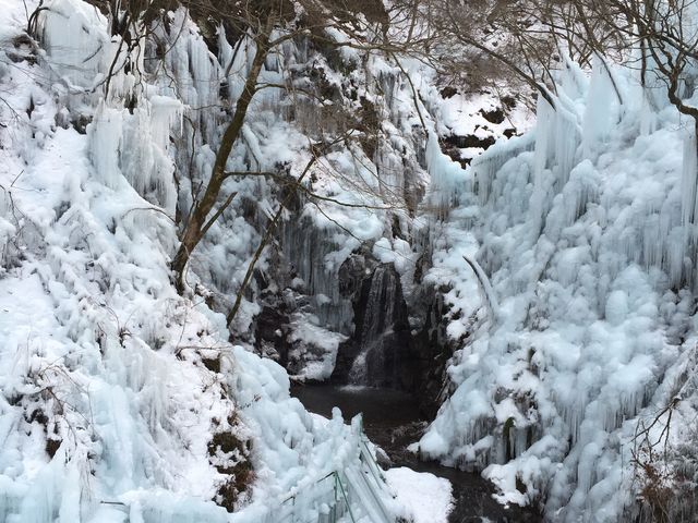 �X���̉��ɑꂪ�����_���m���S�i�X��