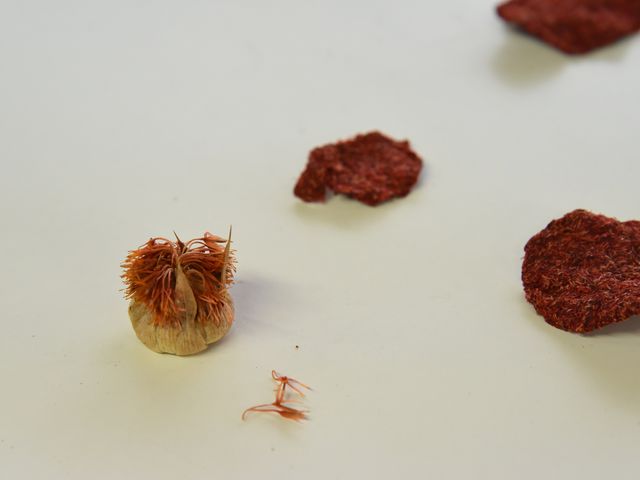 �x�j���`�Ƃ��������ł�_�đ�D�D���̓X�@�D�G���l��