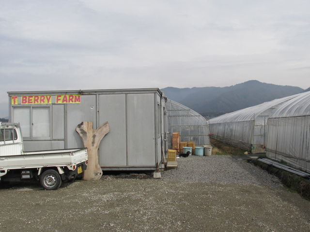 cڂ̒̓iłI_T-BERRY FARM