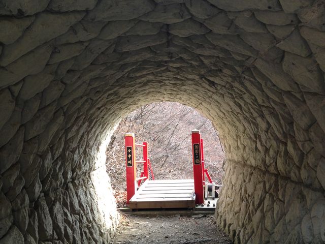 �����������ɒʂ���g���l���i�H�j_�������