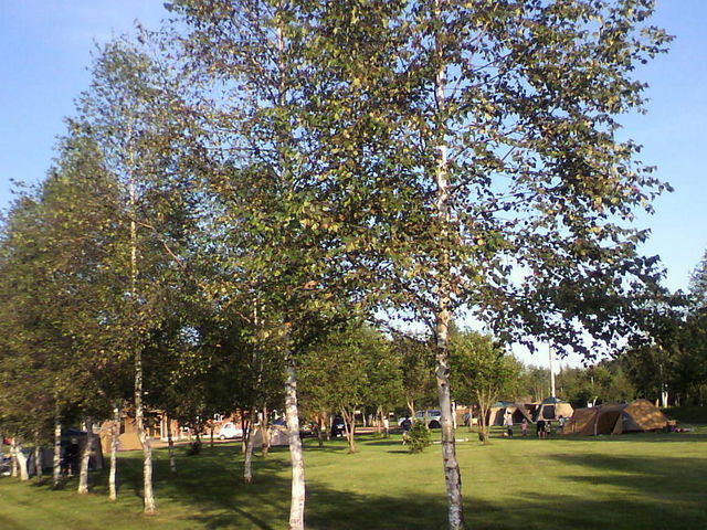 �t���[�T�C�g���琼����_�X�m�[�s�[�N�\���|���V���L�����v�t�B�[���h