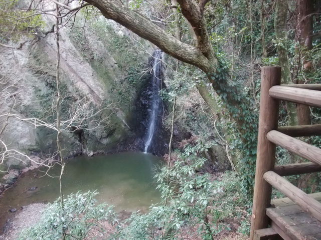 񂳂̉ԉŊXƍAVAUR[X̓eʐ^1