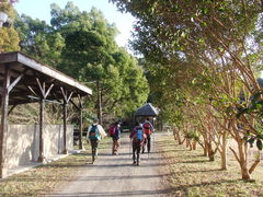 񂳂̉ԉŊXւ̓eʐ^1