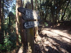 񂳂̉ԉŊXւ̓eʐ^1