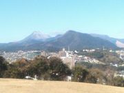 ނ炳񂳂̑啪spق̓eʐ^2