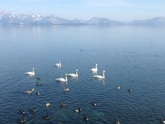 ���c��΂̎ʐ^1