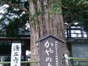 ݂コ̍ύL̃J̓eʐ^1