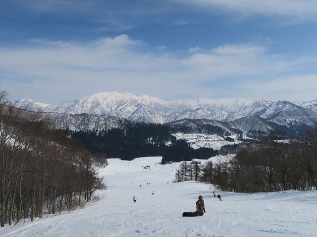 �Q�����f_���q�X�m�[���]�[�g