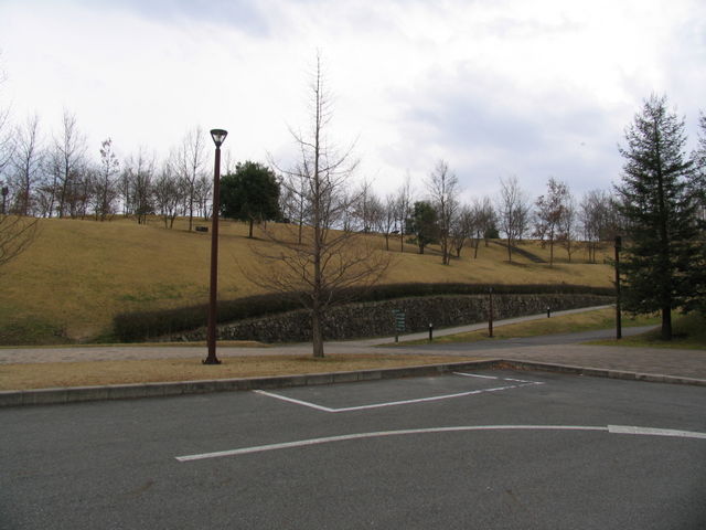 tomsan̔kI[grbW̓eʐ^1