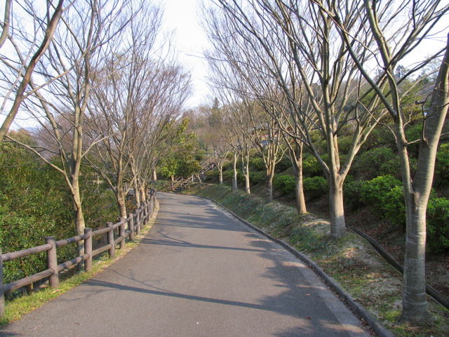 tomsan̐^RXьLviyLj̓eʐ^1