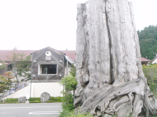 ����������E�N���F�[���g�a_����������E�N���F�[���g�a