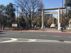 靖国神社の桜の写真一覧 じゃらんnet