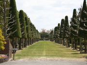 tomsan̗NiVLO뉀̓eʐ^1