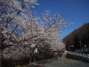 tomsan̓yt_ӂ̍̓eʐ^1